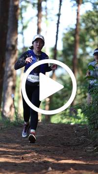 BIB:  <button type="button" onclick="openModal(26568605)" class="btn btn-primary btn-sm float-right" data-toggle="modal" data-target=".modal-high-quality">
                <i class="fa fa-download"></i> Download
                </button>